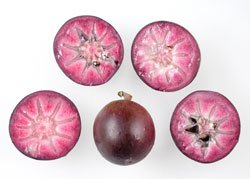 ph06Chryssophyllumcainito_starapple