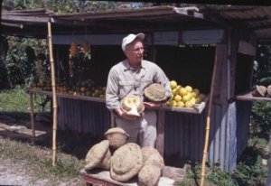 ph09Lesythispisonis_monkeypot